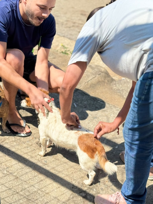 Itaúna realiza campanha de vacinação antirrábica e imuniza mais de 12 mil animais